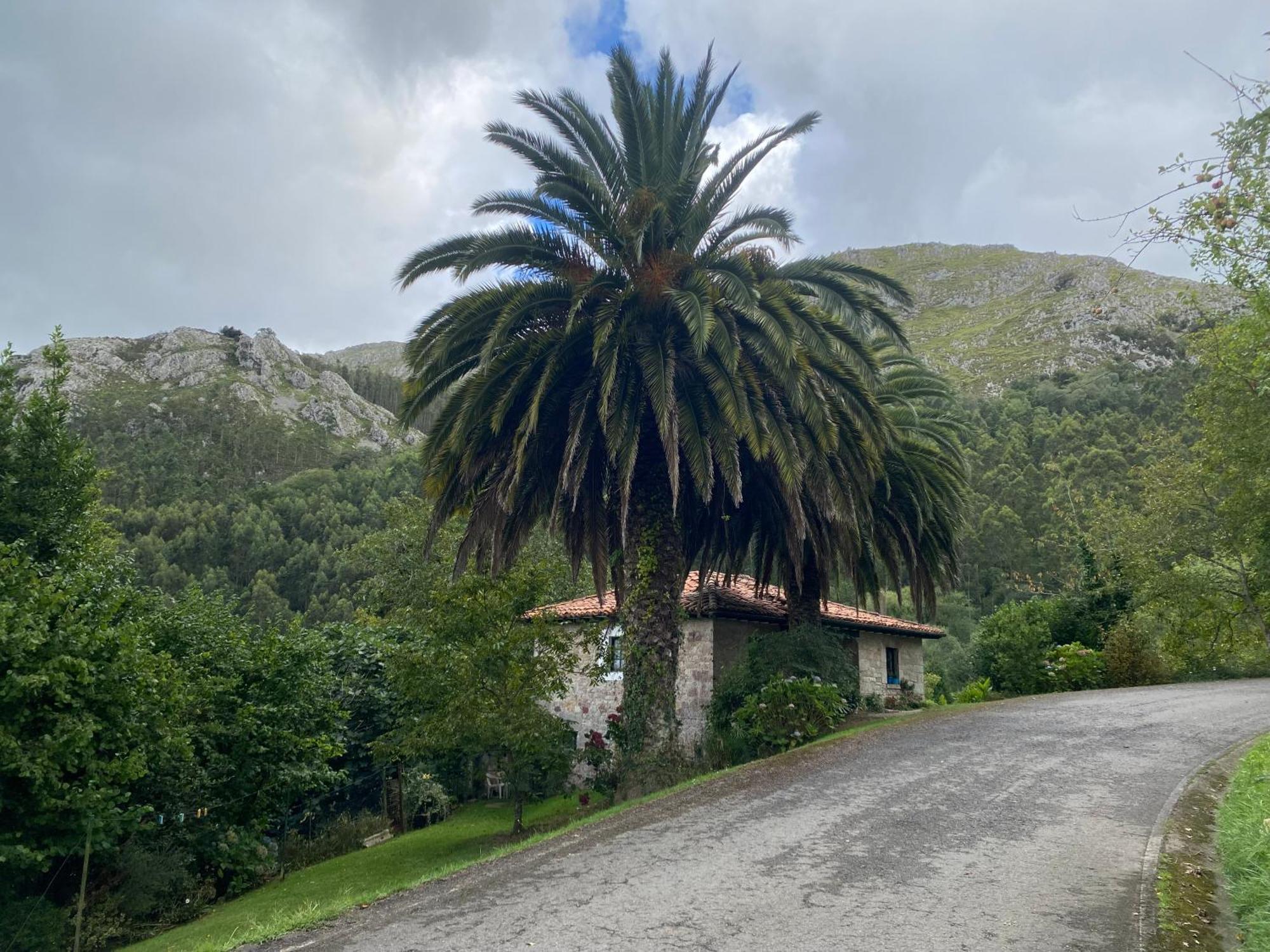 Вилла Casa Estilo Rural Con Jardin Entre Playa Y Montana Каравия Экстерьер фото